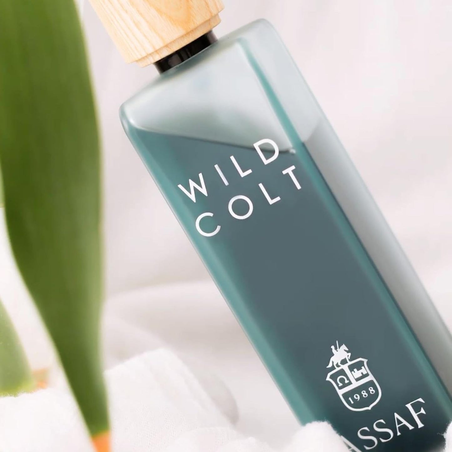 Wild Colt Asaff + Gris Erik